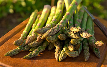 Fresh, raw asparagus lying on a wooden cutting board