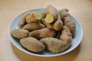 Long White Potatoes