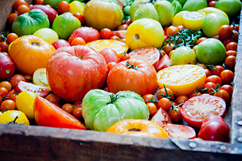 a basket of tomatoes of many different colors, including red, yellow, orange, and green