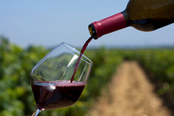 Mediterranean diet and red wine