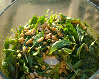 a view of the inside of a blender containing the ingredients for making basil pesto